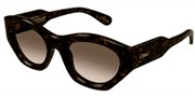 Compre ou amplie a imagem do modelo Chloe CH0220S-002.