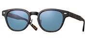 Compre ou amplie a imagem do modelo EYEVAN WebbFP-DT.
