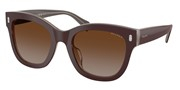 Compre ou amplie a imagem do modelo Ralph (by Ralph Lauren) 0RA5301U-6055T5.