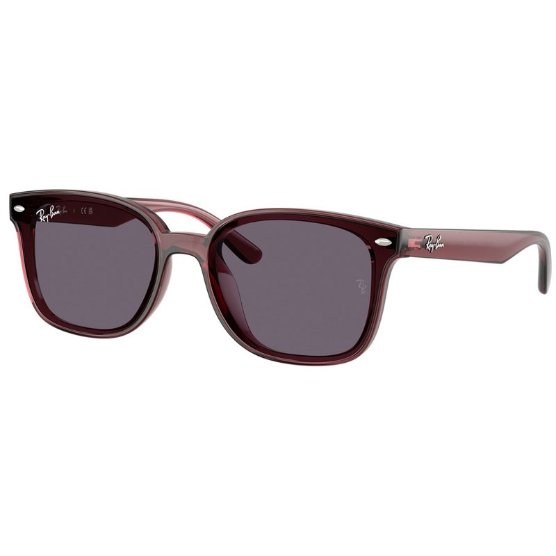 RAY BAN 0RB4461D-659373