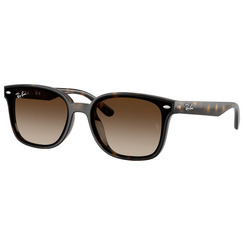 RAY BAN 0RB4461D-71013
