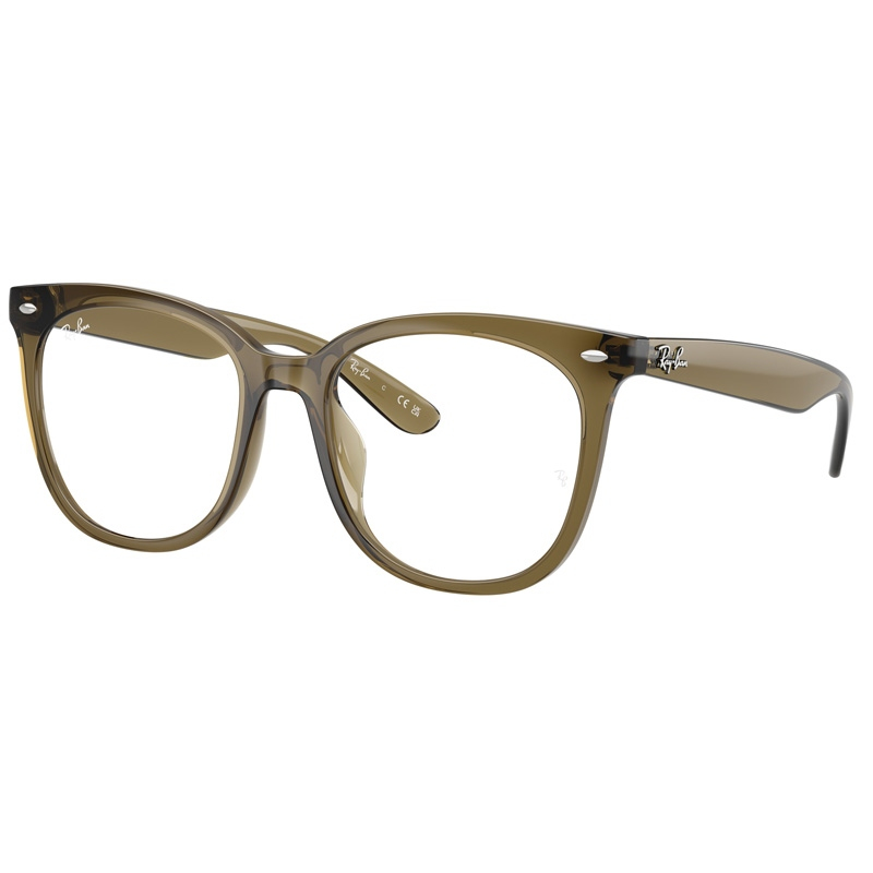 RAY BAN 0RX4379VD-8445