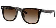 Compre ou amplie a imagem do modelo Ray Ban 0RB4420-71013.