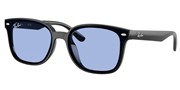 Ray Ban 0RB4461D-60180
