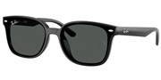 Ray Ban 0RB4461D-60187