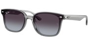 Ray Ban 0RB4461D-64508G
