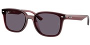 Ray Ban 0RB4461D-659373