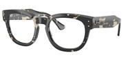 Ray Ban 0RX0298V-8117