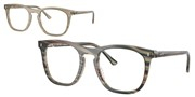 Ray Ban 0RX2210V-8381