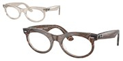 Ray Ban 0RX2242V-8291