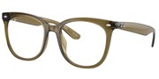 Compre ou amplie a imagem do modelo Ray Ban 0RX4379VD-8445.