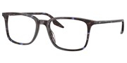 Ray Ban 0RX5421-8424