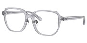 Compre ou amplie a imagem do modelo Ray Ban 0RX5424D-8415.