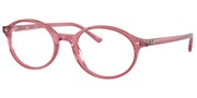 Ray Ban 0RX5429-8440