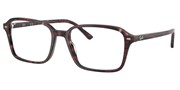 Ray Ban 0RX5431-8393
