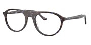 Ray Ban 0RX5441-8424