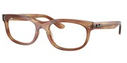 Ray Ban 0RX5489-8399