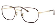 Compre ou amplie a imagem do modelo Ray Ban 0RX6496-3177.