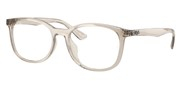 Compre ou amplie a imagem do modelo Ray Ban 0RX7093D-8271.