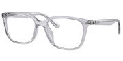Compre ou amplie a imagem do modelo Ray Ban 0RX7248D-8411.