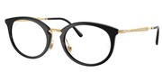 Ray Ban 0RX7255-2000