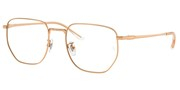Ray Ban 0RX8776D-1248