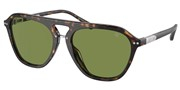 Compre ou amplie a imagem do modelo Ralph Lauren 0RL8219U-50034E.