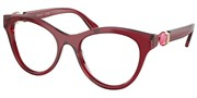 Swarovski Eyewear 0SK2036-1055