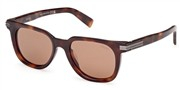 Compre ou amplie a imagem do modelo Ermenegildo Zegna EZ0248-52E.